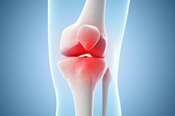 Knee