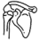 shoulder icon-1
