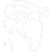 Shoulder icon white sm