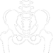 White hip icon sm